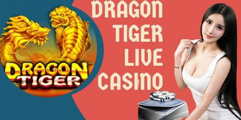 Dragon tiger nhận được nhiều quan tâm từ cược thủ