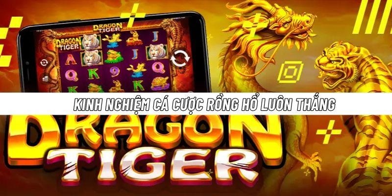 Kinh nghiệm khi chơi dragon tiger