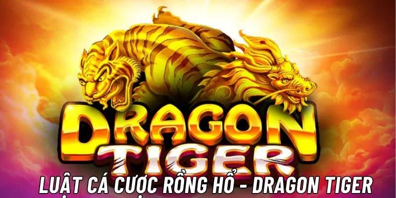 Luật cơ bản trong dragon tiger livestream Debet